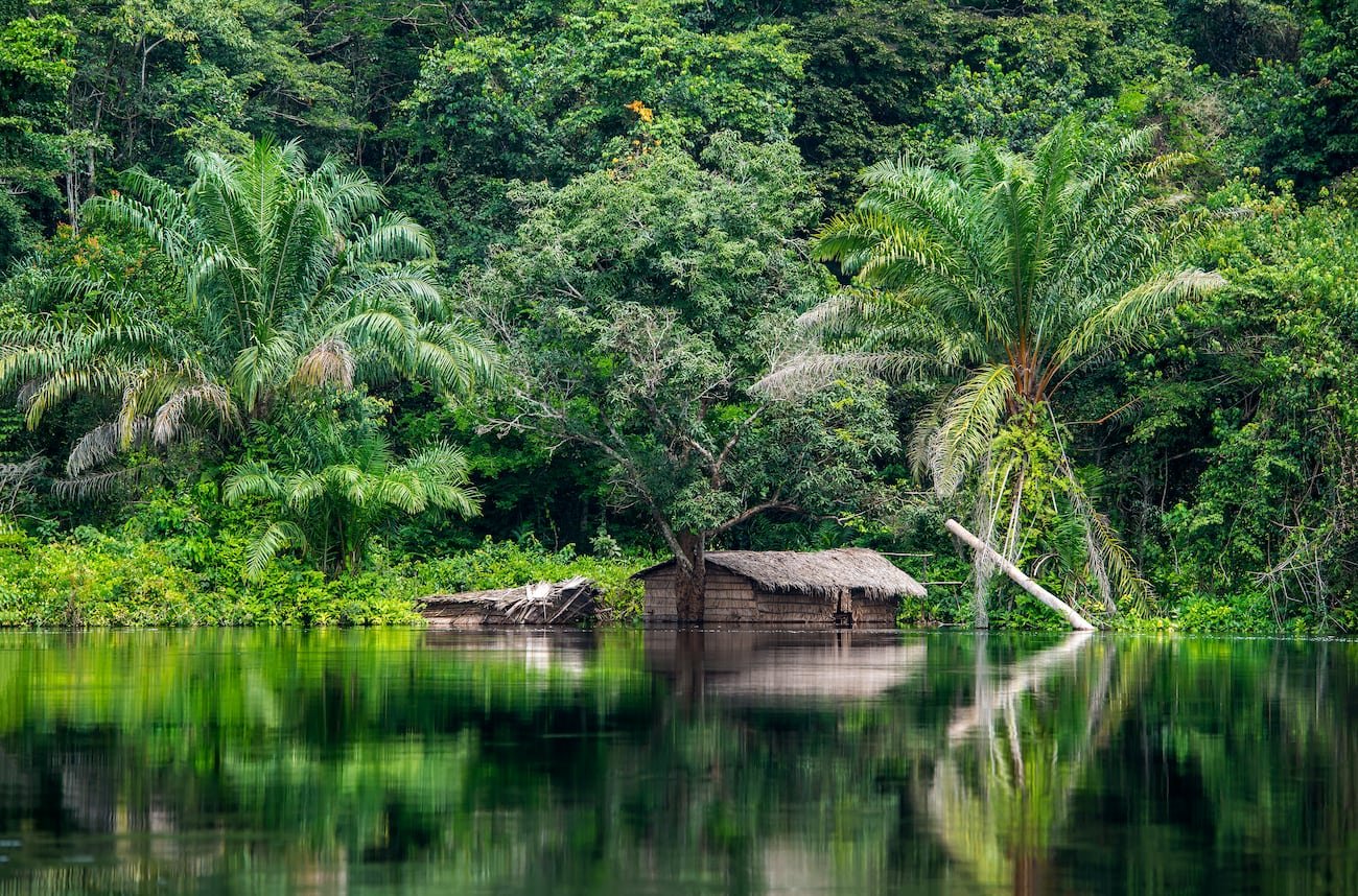 Congo River with lush tropical forest